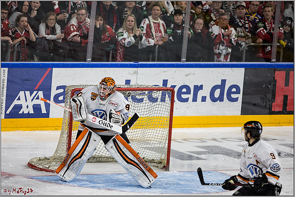 DEL, Koelner Haie - Grizzlys Wolfsburg, 21.03.2017